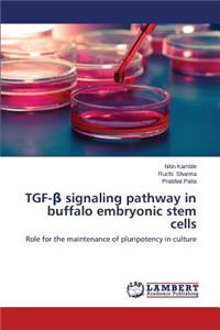 TGF-β signaling pathway in buffalo embryonic stem cells