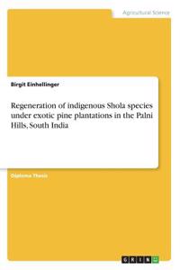 Regeneration of indigenous Shola species under exotic pine plantations in the Palni Hills, South India