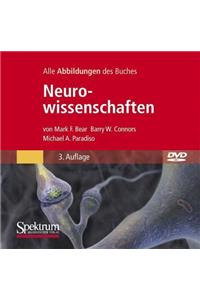 Bild-DVD, Neurowissenschaften: Die Abbildungen Des Buches