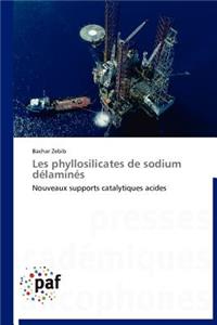 Les Phyllosilicates de Sodium Délaminés