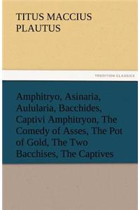 Amphitryo, Asinaria, Aulularia, Bacchides, Captivi Amphitryon, the Comedy of Asses, the Pot of Gold, the Two Bacchises, the Captives