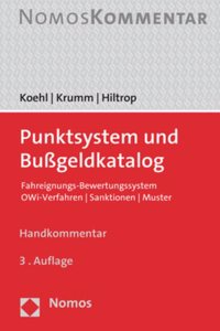 Punktsystem Und Bussgeldkatalog