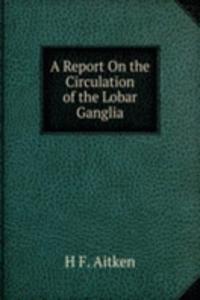 Report On the Circulation of the Lobar Ganglia