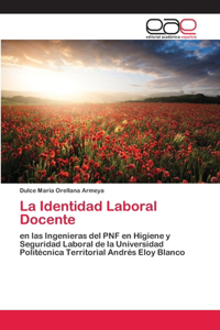 Identidad Laboral Docente