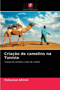 Criação de camelins na Tunísia