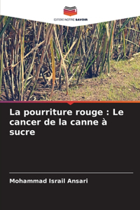 pourriture rouge