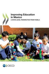 Improving Education in Mexico - A State-Level Perspective from Puebla