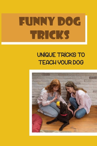 Funny Dog Tricks