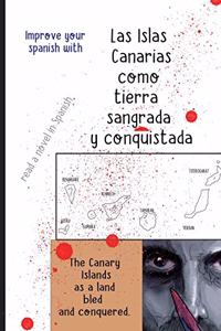read a novel in Spanish