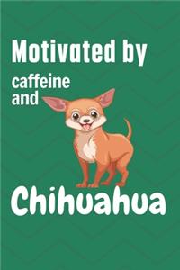 Motivated by caffeine and Chihuahua