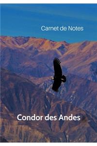 Carnet de Notes Condor des Andes