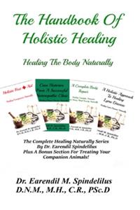 Handbook Of Holistic Healing