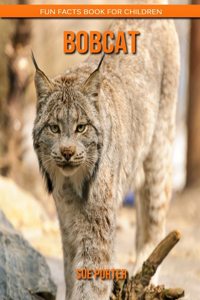 Bobcat