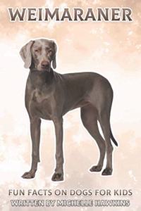 Weimaraner