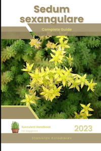 Sedum sexangulare