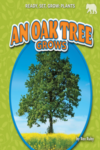 Oak Tree Grows
