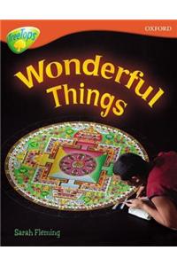 Oxford Reading Tree: Level 13: Treetops Non-Fiction: Wonderful Things