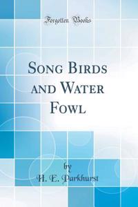 Song Birds and Water Fowl (Classic Reprint)