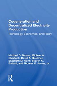 Cogeneration and Decentralized Electricity Production