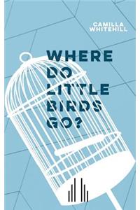 Where Do Little Birds Go?