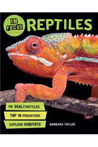 In Focus: Reptiles