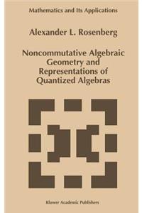 Noncommutative Algebraic Geometry and Representations of Quantized Algebras