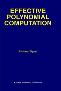 Effective Polynomial Computation