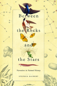 Between the Rocks and the Stars