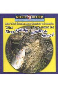 What River Animals Eat / ¿Qué Comen Los Animales de Los Ríos?
