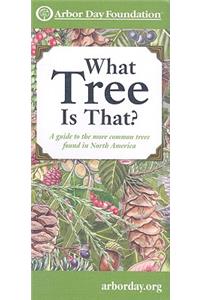 What Tree Is That?