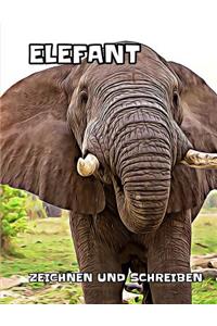 Elefant