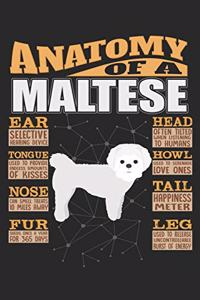 Anatomy Of A Maltese