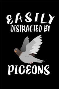 Easily Distracted By Pigeons: Animal Nature Collection