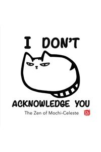 I Don't Acknowledge You