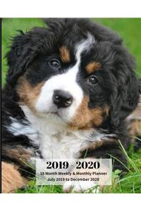 2019 - 2020 18 Month Weekly & Monthly Planner July 2019 to December 2020