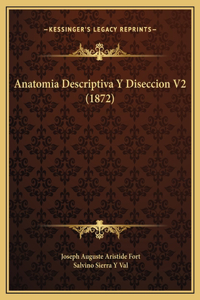 Anatomia Descriptiva Y Diseccion V2 (1872)