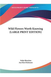 Wild Flowers Worth Knowing