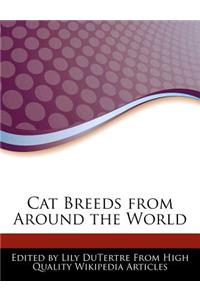 Cat Breeds from Around the World