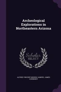 Archeological Explorations in Northeastern Arizona