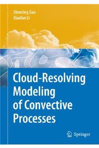 Cloud-Resolving Modeling of Convective Processes