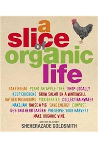 Slice Of Organic Life : Get Closer