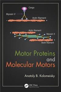 Motor Proteins and Molecular Motors