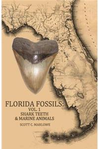 Florida Fossils