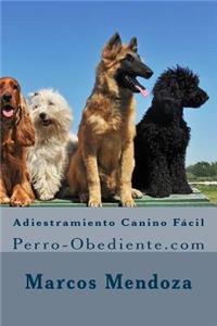Adiestramiento Canino Fácil