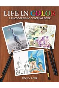 Life In Color: A Photographic Coloring Book