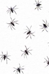 Spider Pattern Painted Notebook