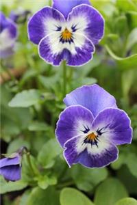 Lovely and Old-Fashioned Blue Violet Pansy Flowers Journal