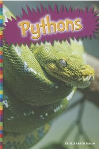 Pythons