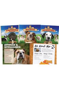 Dog Daze Set 2 (Set)