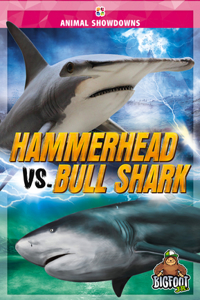 Hammerhead vs. Bull Shark